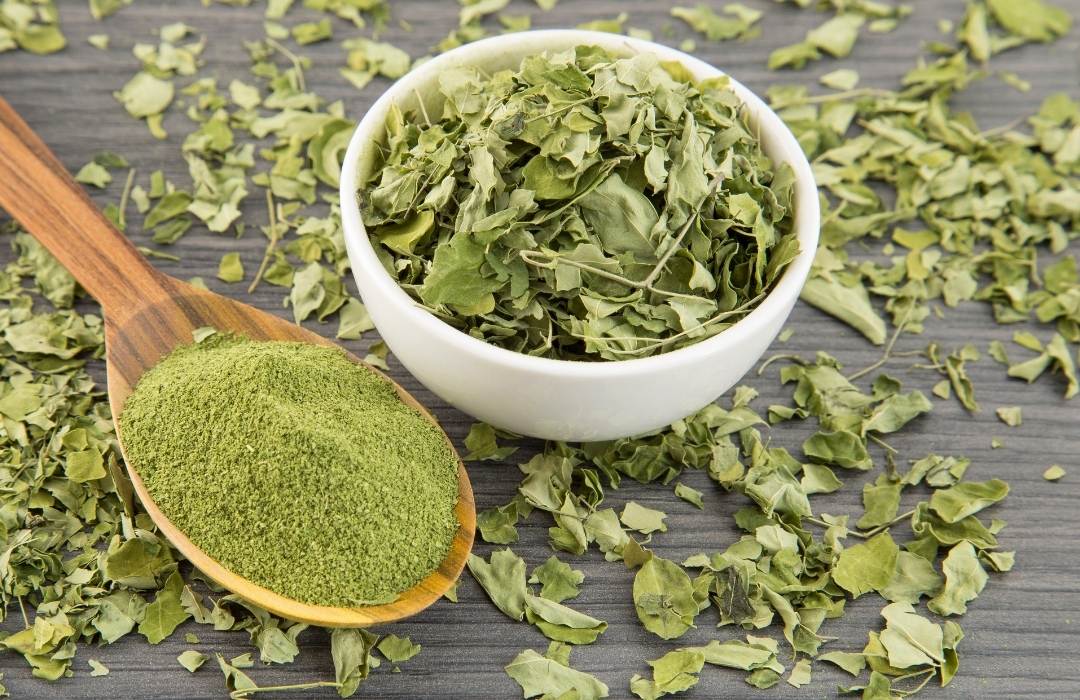 Infusión de hojas de moringa: Beneficios, preparación y propiedades