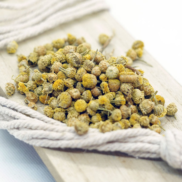 Manzanilla amarga flor - Té con sabor amargo y refrescante