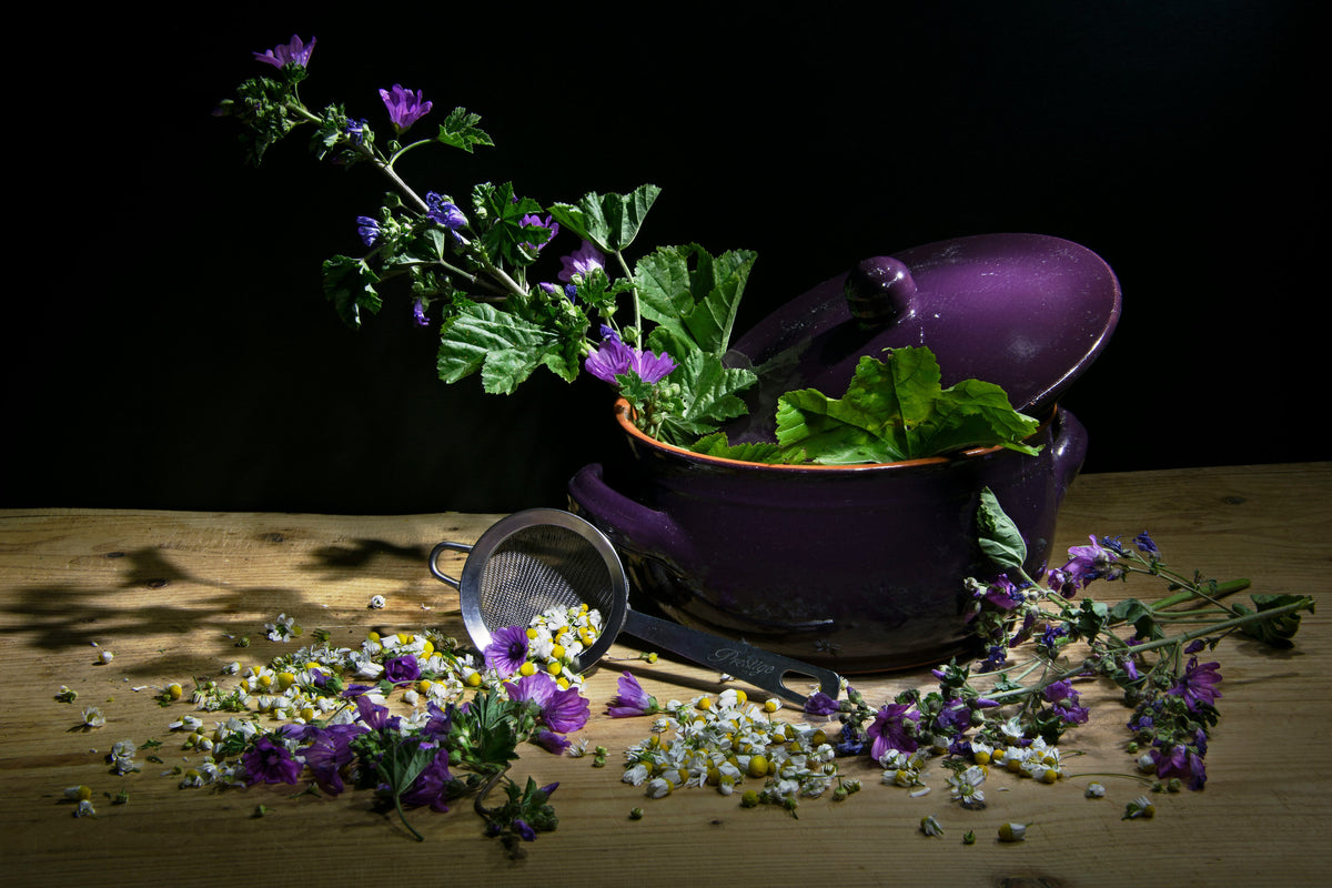 Benefits of Herbal Infusions: Mallow Flower vs Chamomile
