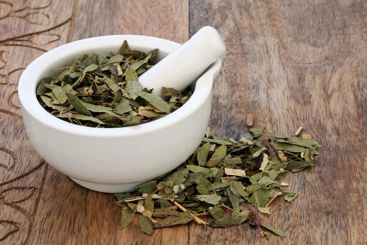 Senna Leaves: Properties, Benefits, Uses and Essential Precautions