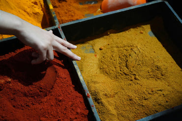 Canela Ceylán: Origen, Beneficios, Preparaciones y más