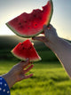 5 Refreshing Watermelon Recipes with Spices: The Secret of Mediterranean Summer