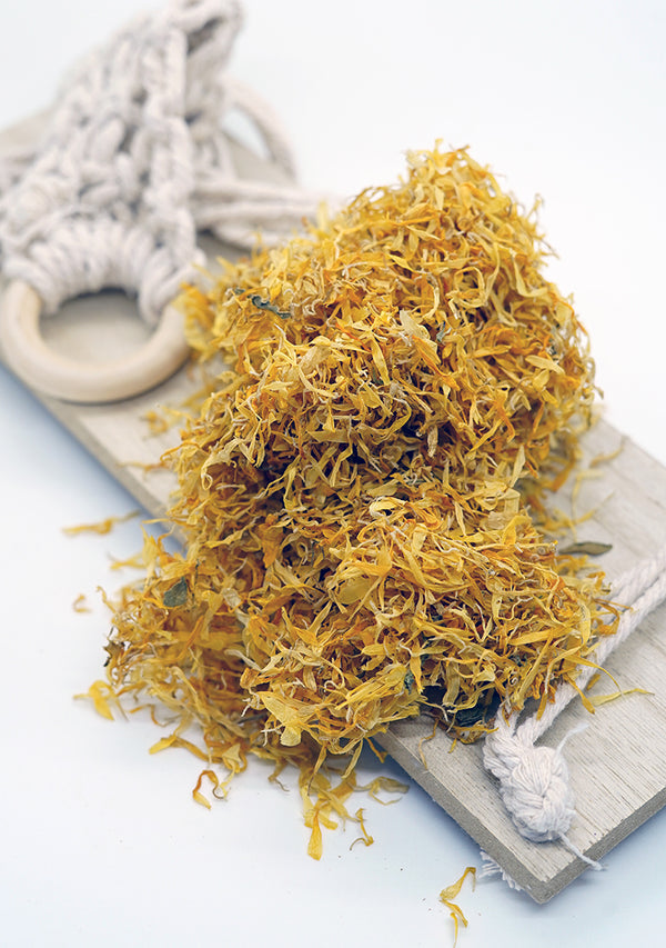 Caléndula Flor: Pétalos Medicinales y Beneficios para la Piel
