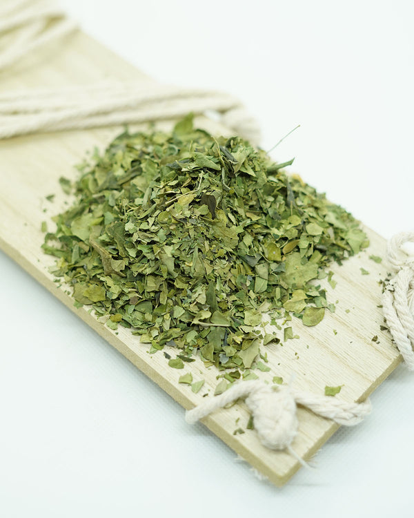 MORINGA INFUSIÓN