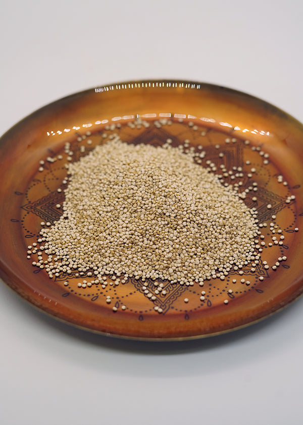 QUINOA SEMILLA